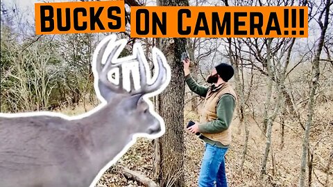 Hoping For BUCKS On CAMERA!!!