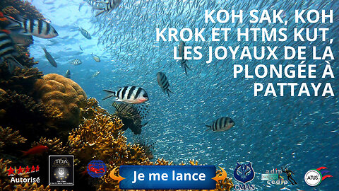 Koh Sak, Koh Krok & HTMS Kut : Les Joyaux de la Plongée à Pattaya