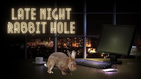 Late Night Rabbit Hole