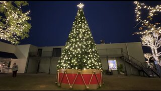 Christmas Lights in Fairhope, Alabama