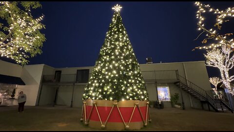 Christmas Lights in Fairhope, Alabama