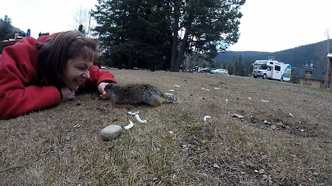 Incredibly friendly ground squirrels eat from human's hand