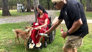 Chris Feeding the babies!Twin Eagle Deer herd! July 30th