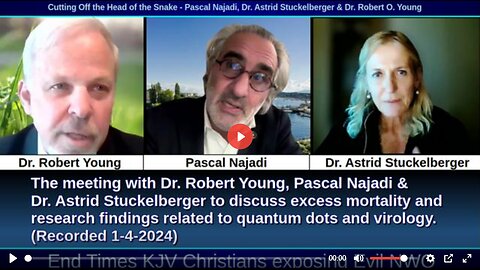 Cutting Off the Head of the Snake - Pascal Najadi, Dr. Astrid Stuckelberger, Anders Brunstad & Dr. Robert O. Young