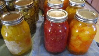 Harvesting and Canning for Three Weeks