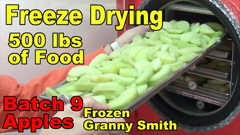 Freeze Drying Your First 500 lbs of Food - Batch 9 - Apples, Frozen, Granny Smith