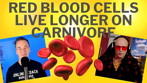 Understanding Red Blood Cell Lifespan and Its Effects on HbA1c with Bart Kay and Coach Stephen