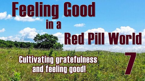Feeling Good in a Red Pill World #7 Gratefulness