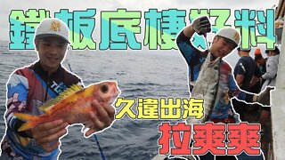 【台客去船釣】煙仔虎一直比一隻肥！底棲魚一隻比一隻高價！真亦看到魚在跳就喊海豚 feat.錦豐順娛樂海釣船