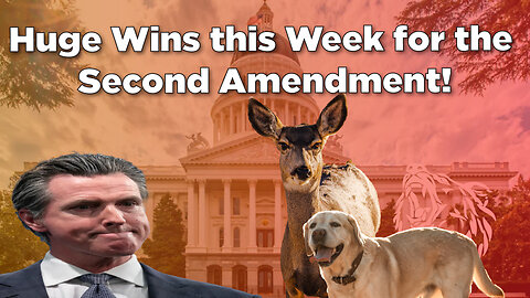 Huge Wins this Week for the Second Amendment!
