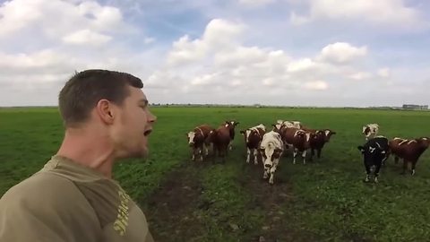 'Burping Cow Whisperer' Captivates Herd Of Cattle