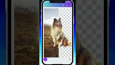 How To Remove Backgrounds In Canva #canva