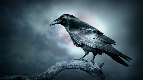Spooky Mystery Music – Raven Moon