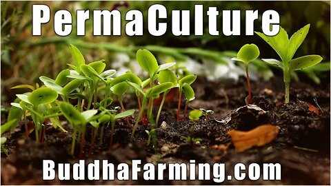 Permaculture