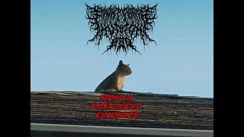 Front Porch Human BBQ - Syphilis Embalment Engorged (2022 NEW SINGLE)