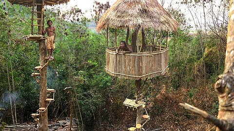 Unbelievable!! Build Beautiful Rounded Spiral Stairs for Tree House