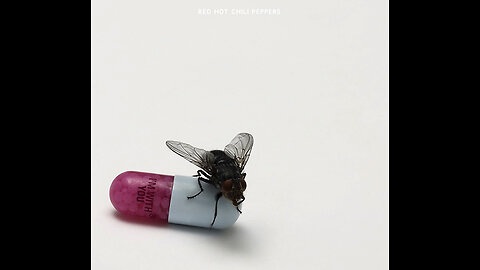Red hot chilli peppers - I'm with you