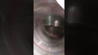 washing machine spinning fast