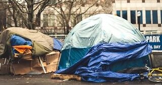 Liberal city created 'safe sleeping' site for its homeless, and residents have had enough