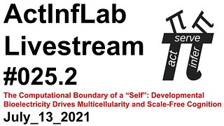 ActInf Livestream #025.2 ~ "The Computational Boundary of a Self"