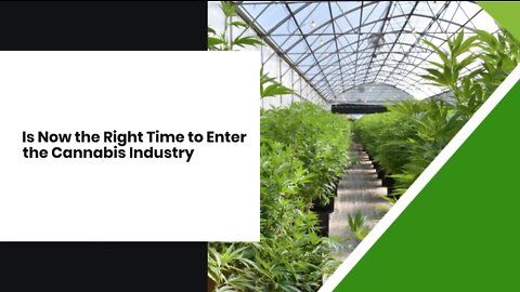 Is Now the Right Time to Enter the Cannabis Industry