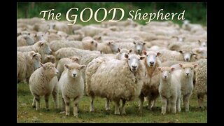 Shepherds and Sheep — Lord Our Shepherd