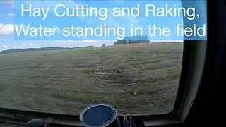 Hay cutting and raking, Water standing in the field