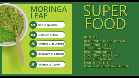 Life Hacks - Wellness - Moringa Leaf