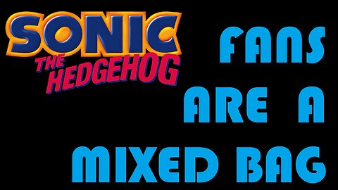 Be Careful Around Sonic Fans