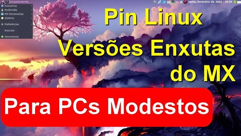 Pin Linux OS (antiX/MX Linux 21 Spin) Uma versão leve do MX Linux LXDE