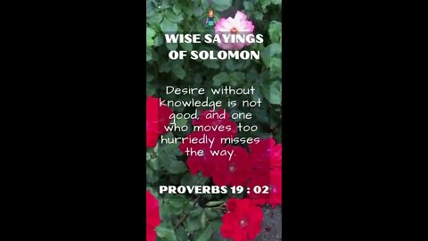 Proverbs 19:2 | NRSV Bible - Wise Sayings of Solomon
