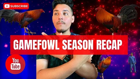 GAMEFOWL Season RECAP // All the Work We've Done so FAR and Whats NEXT!!