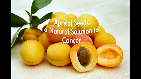 Apricot Seeds A Natural Solution to Cancer