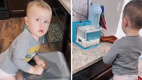 Kid Removes Fish From Aquarium So It Can Take A Nap