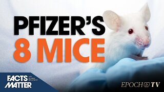 Safety of Millions of Americans Hinge on Data From 8 Mice | Facts Matter