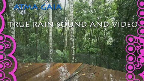 6 hours of Soothing RAIN 24/7 Rain Sounds for Sleeping Studying, Relaxing, insomnia LIVE FROM BRAZIL