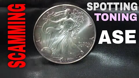 American Silver Eagle: Toning, Spotting, & Scamming!