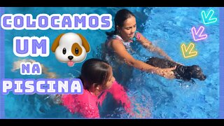 COLOCAMOS UM CACHORRO DENTRO DA PISCINA ! 3 irmãs demais