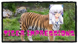 [Lumi] does her best Tiger Impression