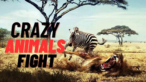 EXTREME Wild Animal Fights