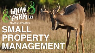 Small Property Management | Grow 'em Big TV