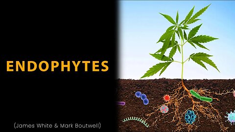 Endophytes: The Amazing Microorganisms That Live Inside Plants - James White