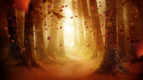 Soothing Dark Autumn Music - Darkleaf Woods | Dark, Relaxing, Beautiful ★207