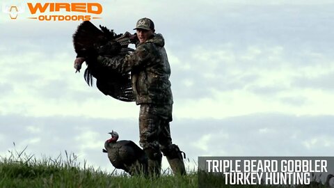 Triple Beard Gobbler - Turkey Hunting