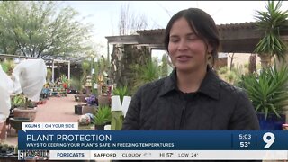 With potential hard freeze coming, here's how to protect your plants