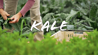 FOODIE || Farm-To-Table: Kale (2023)