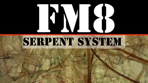 FM8 - SERPENT SYSTEM