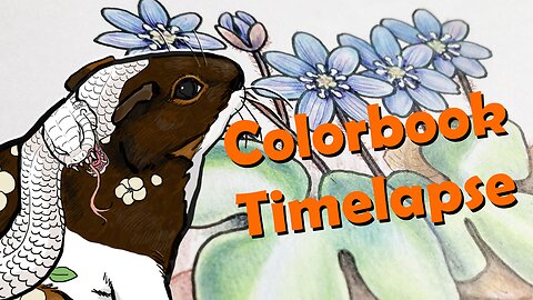 Coloring Book TIMELAPSE: Finnish Nature - Hepatica nobilis