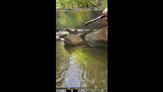 Plein air painting a creek using acrylics