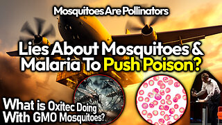 Gates & The GMO Mosquitoes; Malaria Narratives Pose Threat Of Mass Poisoning And Famine